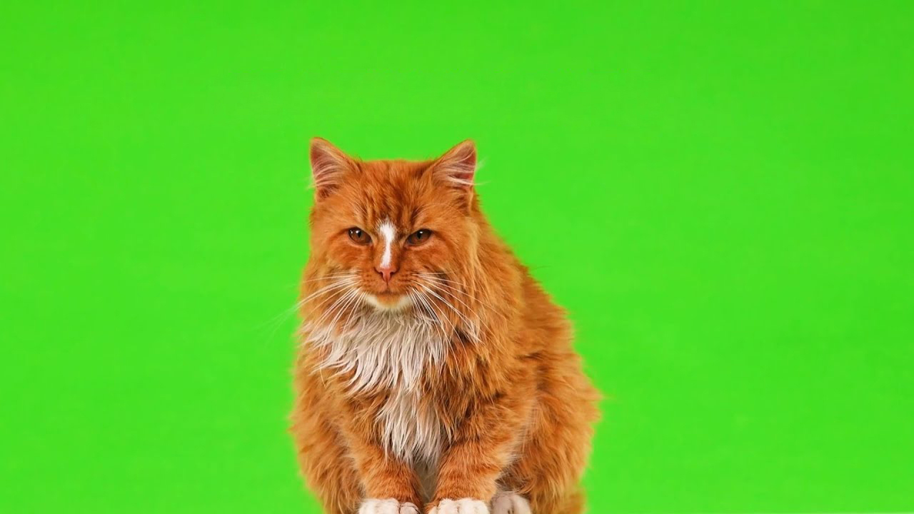 110 Inches Ultra HD Television, TS110TD Ultra Large Screen TV 3840x2160 Pixel, Experience Various Kinds of Content with Ultra HD Picture Quality